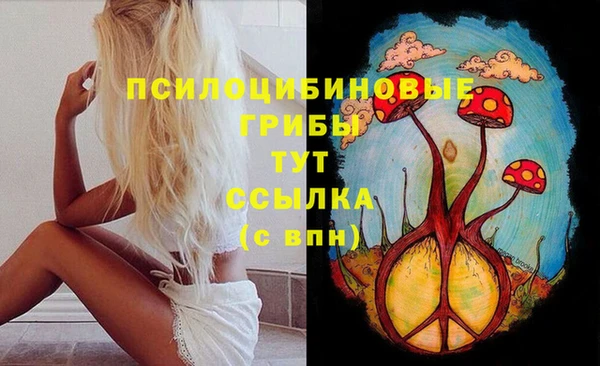 стаф Михайловск