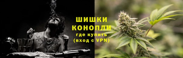 стаф Михайловск
