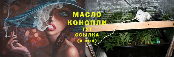 ешки Михайлов