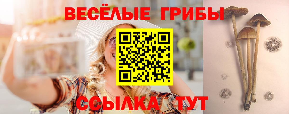 купить  цена  Псилоцибиновые грибы MAGIC MUSHROOMS  Псилоцибиновые грибы мицелий  Вход с VPN  Серпухов 